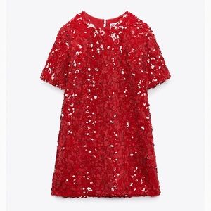beautiful Zara brand sequin dress worn once